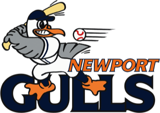 newport gulls