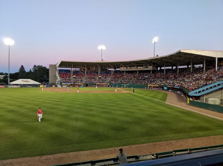 pawsox field