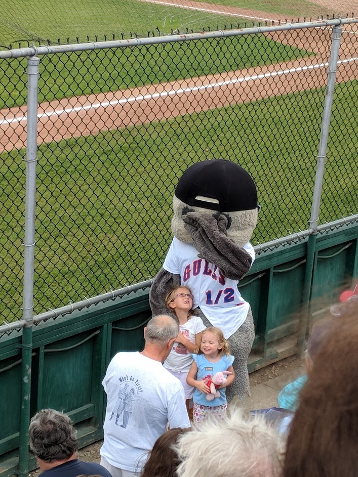 gulls mascot
